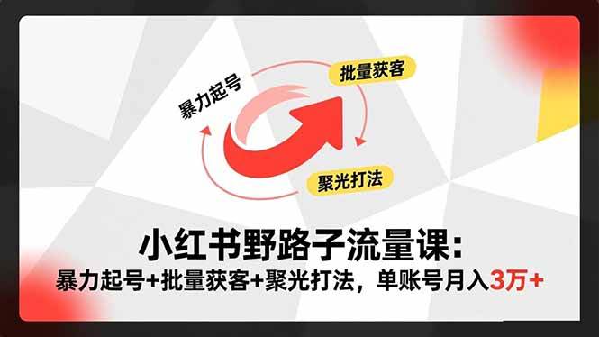 （16513期）小红书野路子流量课：暴力起号+批量获客+聚光打法，单账号月入3万+