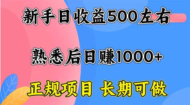 （16132期）新手日收益500+ 正规项目 长期可做