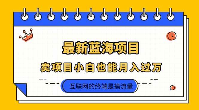 （14289期）2025年最新蓝海项目，卖项目小白也能月入过万