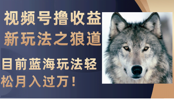 （8042期）视频号撸收益新玩法之狼道，目前蓝海玩法轻松月入过万！