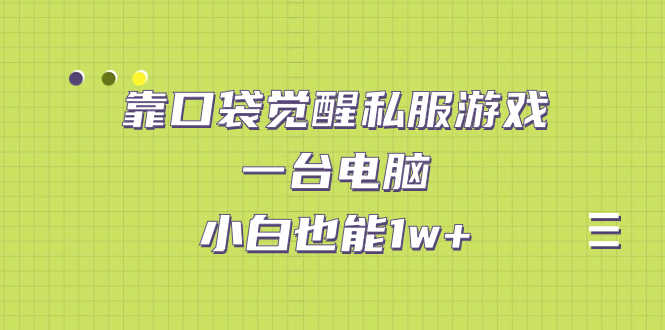 （7113期）靠口袋觉醒私服游戏，一台电脑，小白也能1w+（教程+工具+资料）