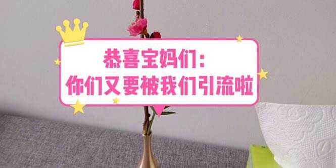 （5891期）恭喜宝妈们：你们又要被我们引流了（教程+222g资料）